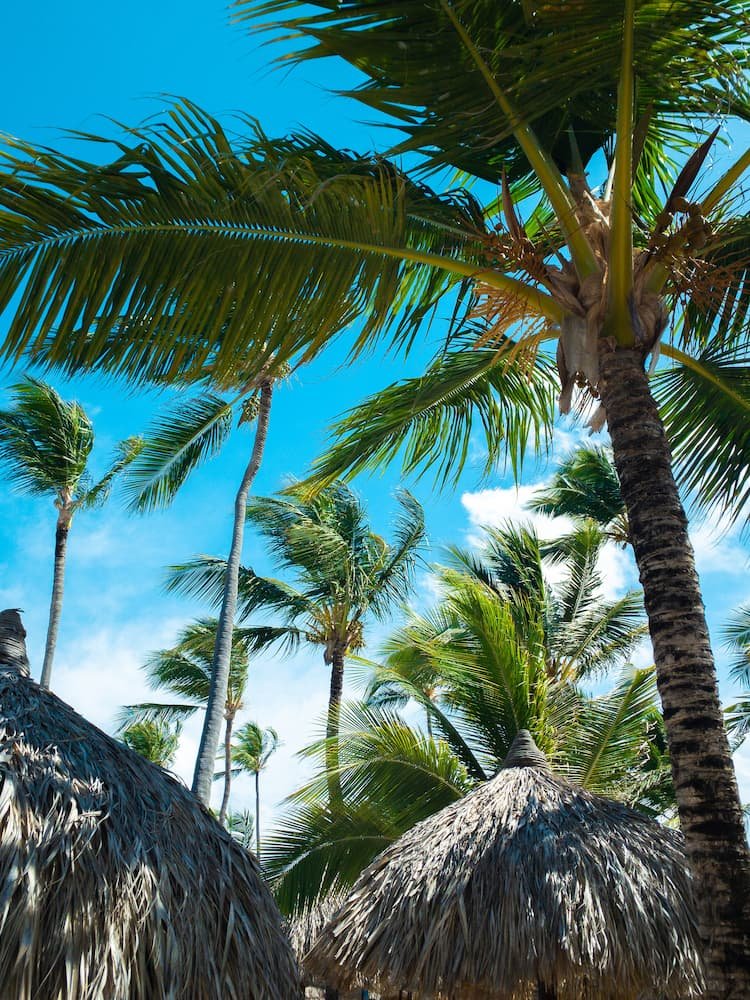 Punta-cana-4
