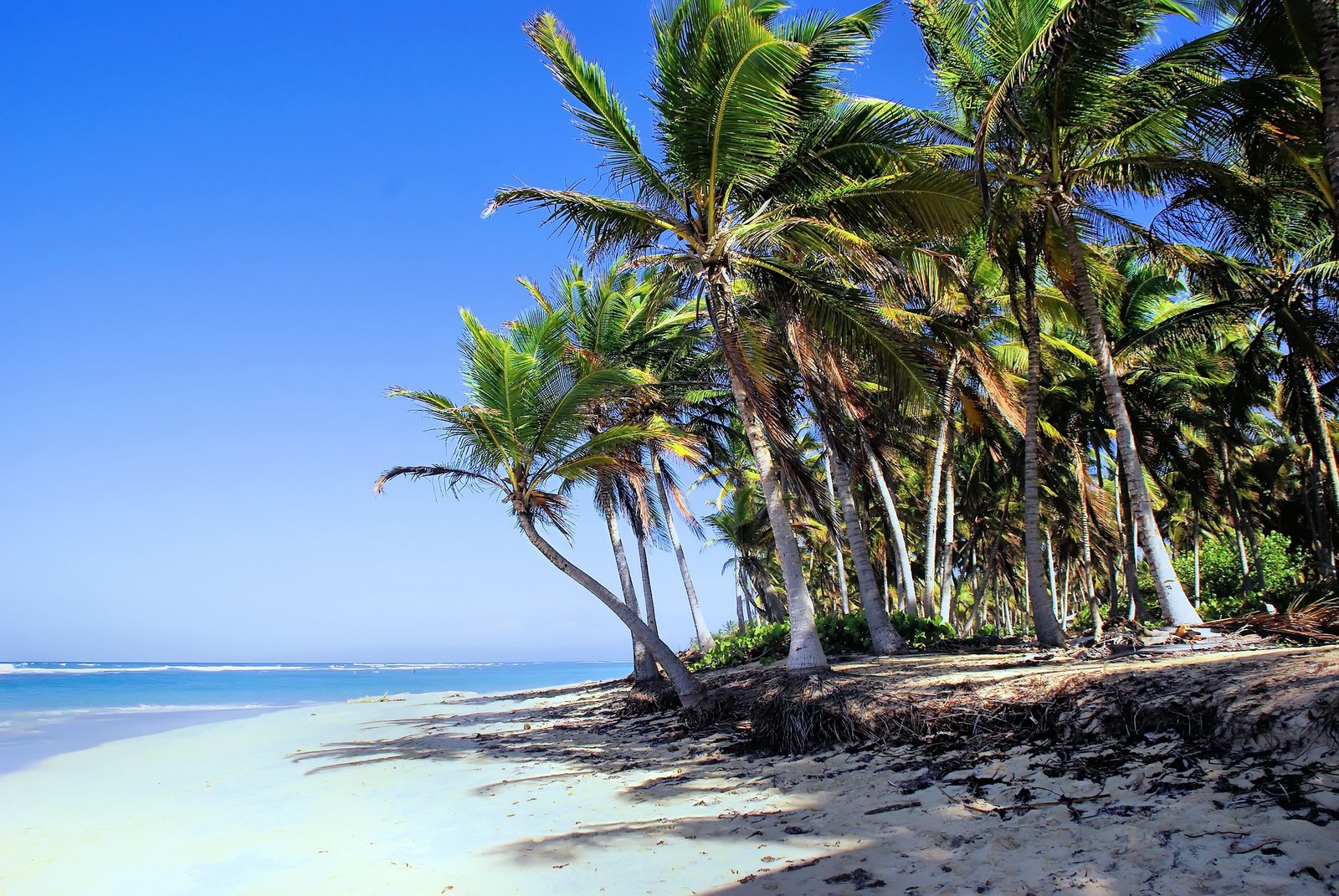 Punta-cana-5