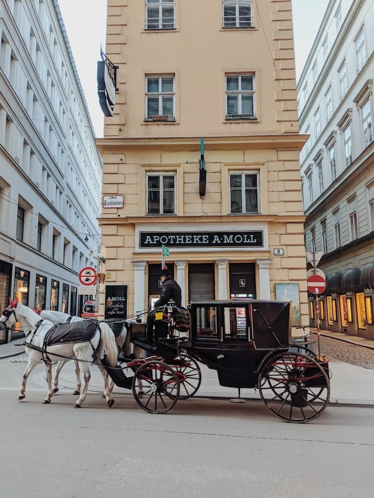 viena-6