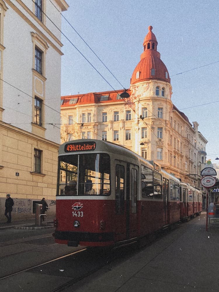 viena-5