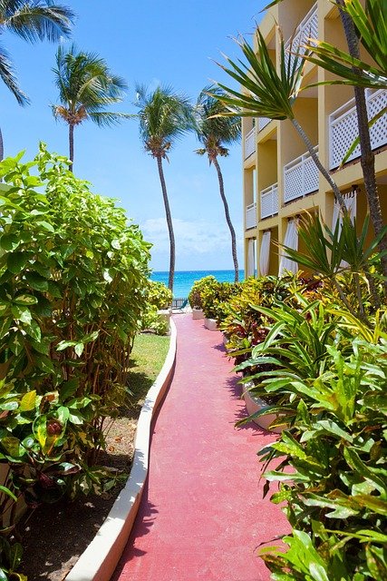 disfruta-de-punta-cana-todo-incluido
